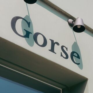 Gorse - 1