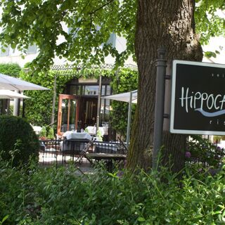Hippocampus - 3