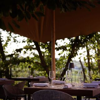 Radici ristorante in vigna - 2