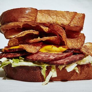 Turkey and the Wolf - 7