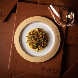 Fario - Céret - 2