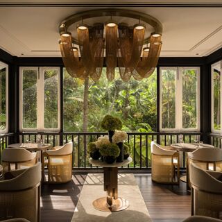 Roia - Singapore - 9