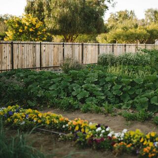Olivea Farm to Table - 1