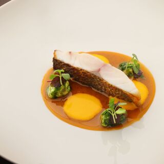 Saucer - Tokyo - 1