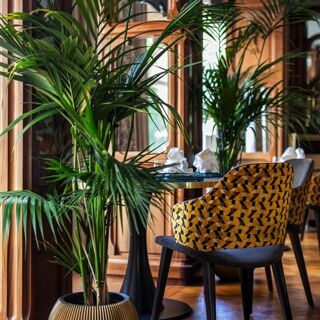 Hiély-Lucullus - 28