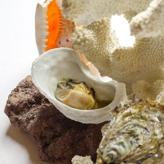Ottavi Mare - 1