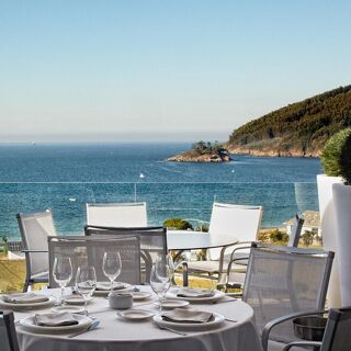 Nito - Viveiro - 9