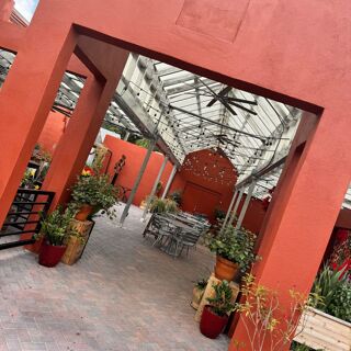 Maxine's on Shine - 2