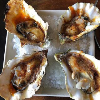 Hog Island Oyster Co. - 2