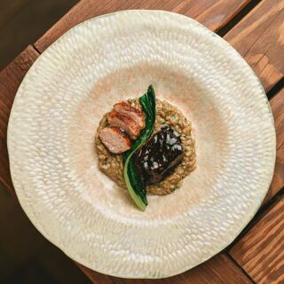 Damiana - Valle de Guadalupe - 16