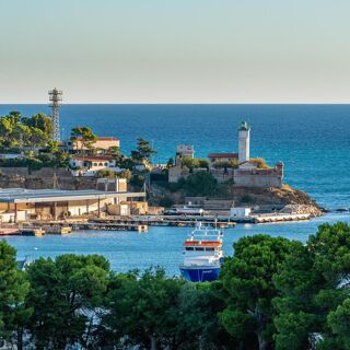 Le Cèdre - Port-Vendres - 16