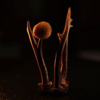 TaBar - 2