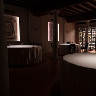 Dama - Cervesina - 1