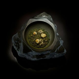 Il Gallo d'Oro - 1