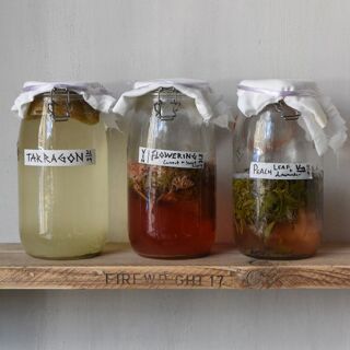 Moss - Edinburgh - 1