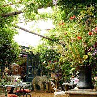 Petersham Nurseries Café - 7