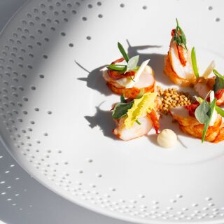 De Bakermat - Ninove - 7