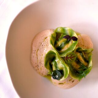 Acacia - Arcachon - 6
