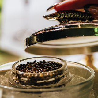 The Marigold Club - 7