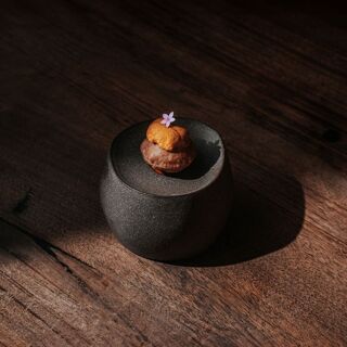 Escondido - Seoul - 8