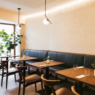 Flora - Viseu - 8