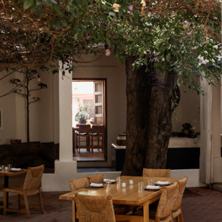 Criollo - Oaxaca - 2