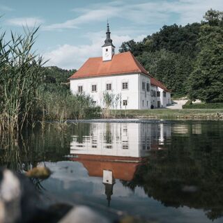 Dveri Pax - Jarenina - 2