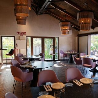 Aleño Brassafina - 4