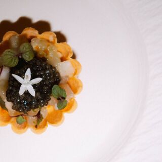 Noble Rice - Tampa - 2