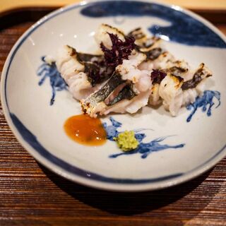 Terada - 4