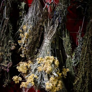 Maison Soubeiran - 5