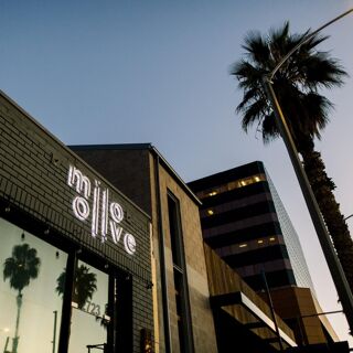 Milo + Olive - Santa Monica - 1