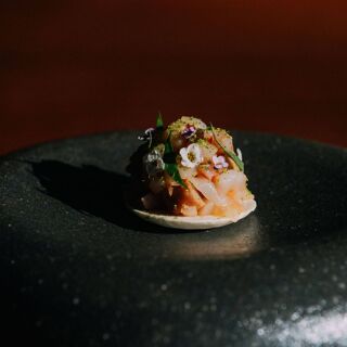 Koya - Tampa - 0