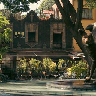 Los Danzantes Mexico City - Coyoacán - 17
