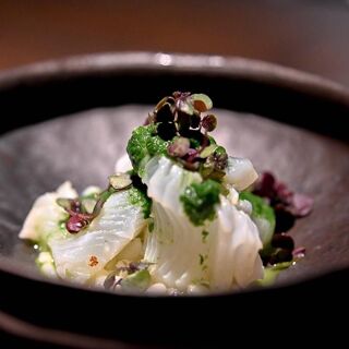 Jfree - Tokyo - 6