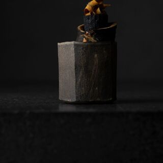 agnel d'or - 1