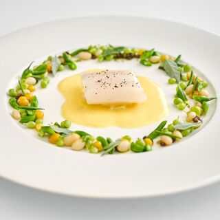 Marotta - Squille - 14