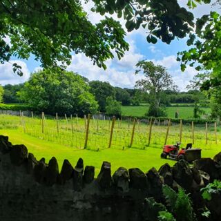 The Gunroom - Bontnewydd - 1