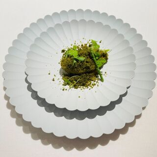 macua - Osaka - 6