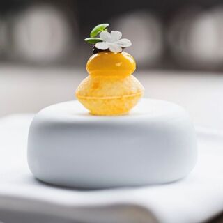 Ritz - 4