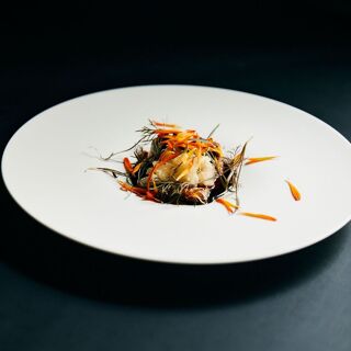 JULIA - Tokyo - 12
