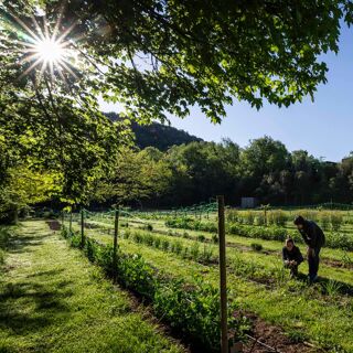 Les Cols - Olot - 4