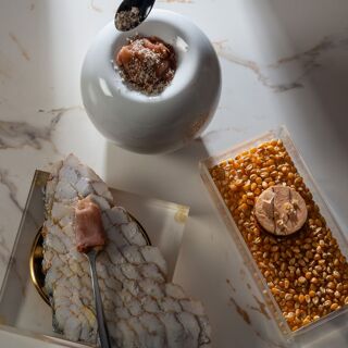 Alessandro Maino - 20