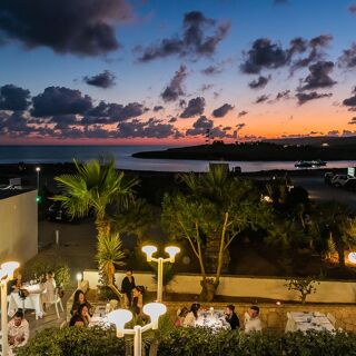 Cavalluccio Marino - Lampedusa - 3
