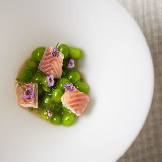 Palodú - Malaga - 8