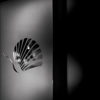 Le Puits Saint Jacques - 1