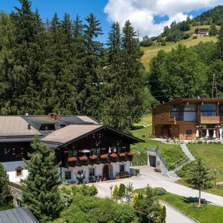 Erlhof - Zell am See - 3