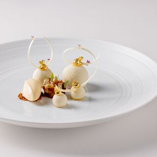 Frog by Adam Handling - 9