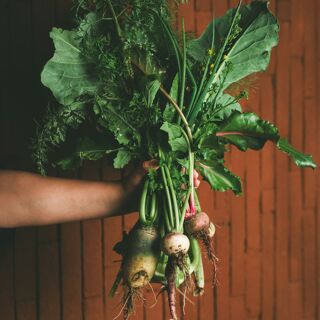 Olivea Farm to Table - Ensenada - 1