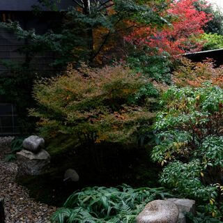 shiro - Kyoto - 3